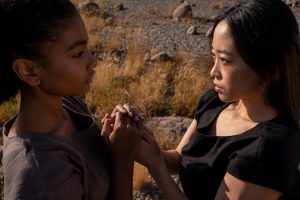 Understanding the Impact of Different Cookware Materials