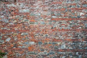 Building a Strong Collection of Go-To Recipes