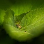 The Unexpected Benefits of Interdisciplinary Study