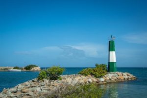 The Essential Guide to Understanding Reverse Mortgages Clearly