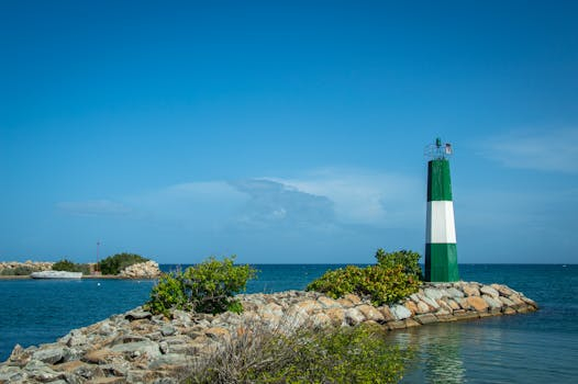 The Essential Guide to Understanding Reverse Mortgages Clearly