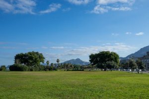 How to Spot Misleading Environmental Claims