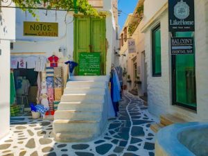 The Role of Local Economic Factors in Driving Housing Prices