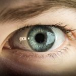 The Importance of Proper Shoe Care for Longevity and Look