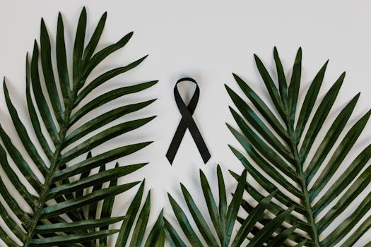 Simple Hacks for Improving Memory Retention and Recall Techniques